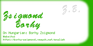 zsigmond borhy business card